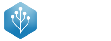 Bignonet IT Services